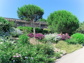 A garden with various plants and flowers, a pathway, and a building with a balcony in the background.