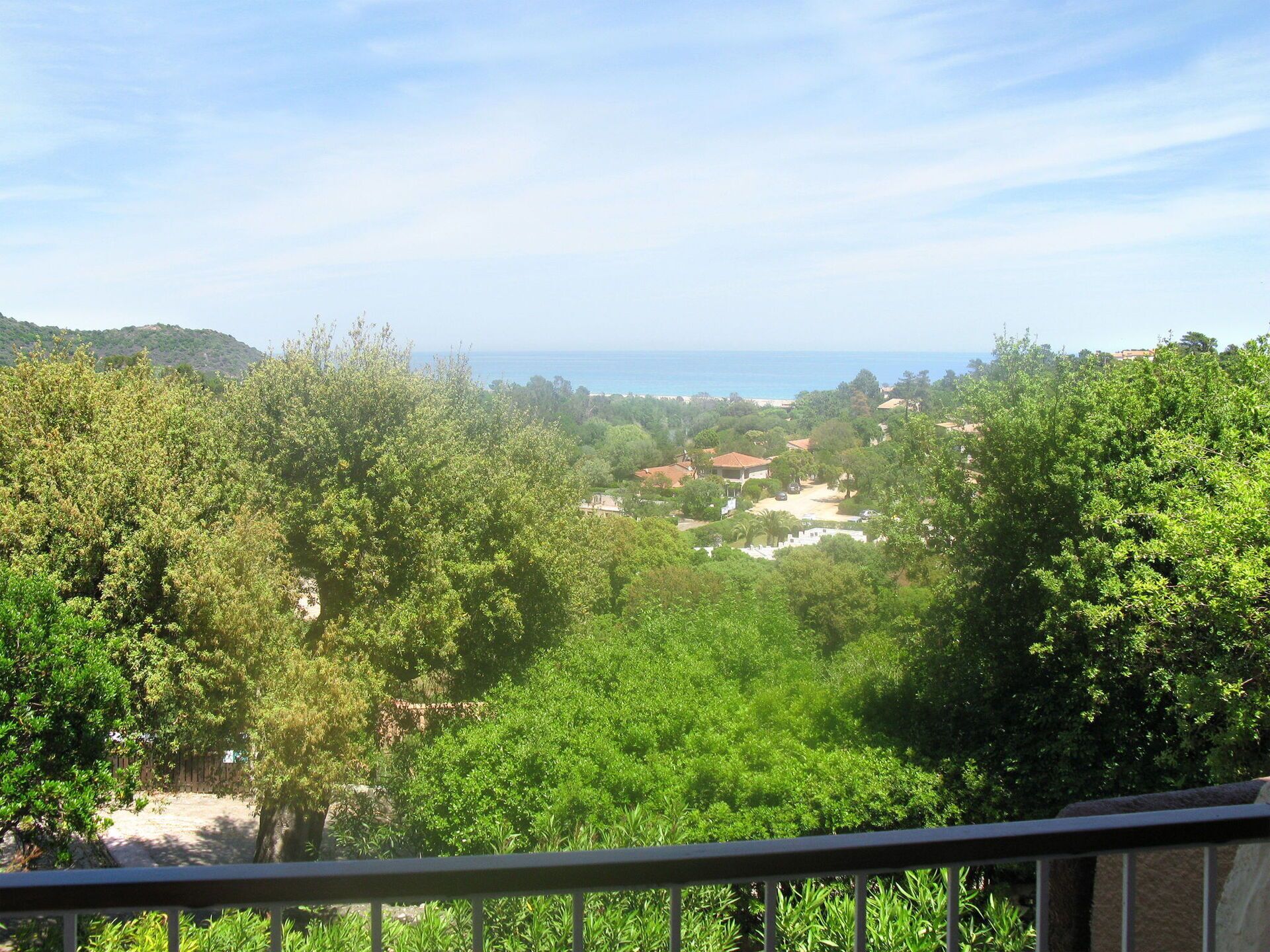 A lush green landscape with a view of a coastal area, including houses and a beach.
