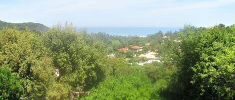 A lush green landscape with a view of a coastal area, including houses and a beach.