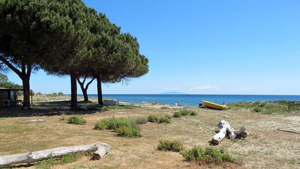 Una zona de platja amb un edifici petit, un arbre gran i un vaixell groc.