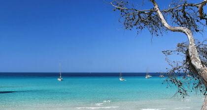 Joli appartement pour 2 personnes avec WIFI, piscine, terrasse et animaux admis