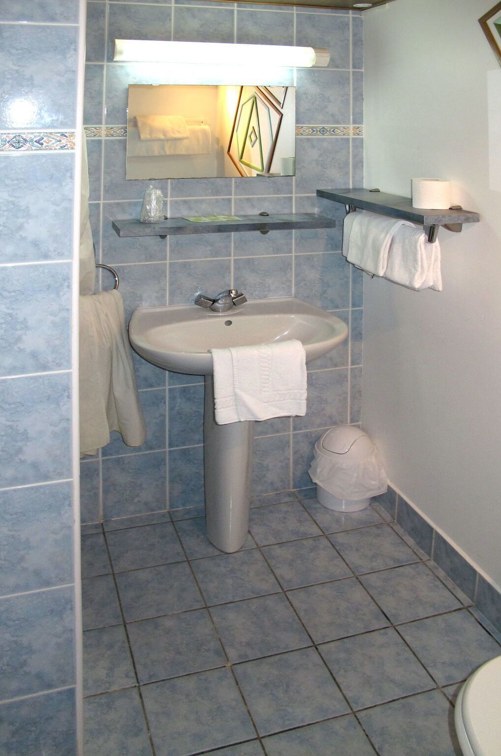 Une salle de bain avec un lavabo sur colonne, des toilettes et un miroir au-dessus du lavabo.