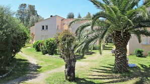 A pathway leading to a building with a tiled roof, surrounded by palm trees and greenery. - Nice apartment for 2 people with pool, WIFI, A/C, TV and terrace (Calvi)
