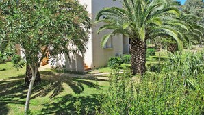 A building with a flat roof, surrounded by lush greenery including palm trees and various shrubs. - Nice apartment for 2 people with pool, WIFI, A/C, TV and terrace (Calvi)