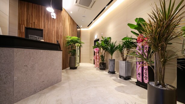 A hotel reception area with a wooden reception desk, multiple potted plants, and a tiled floor. - Songpa Boutique Hotel XYM (Seoul)
