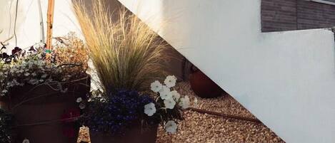 Vista desde la habitación