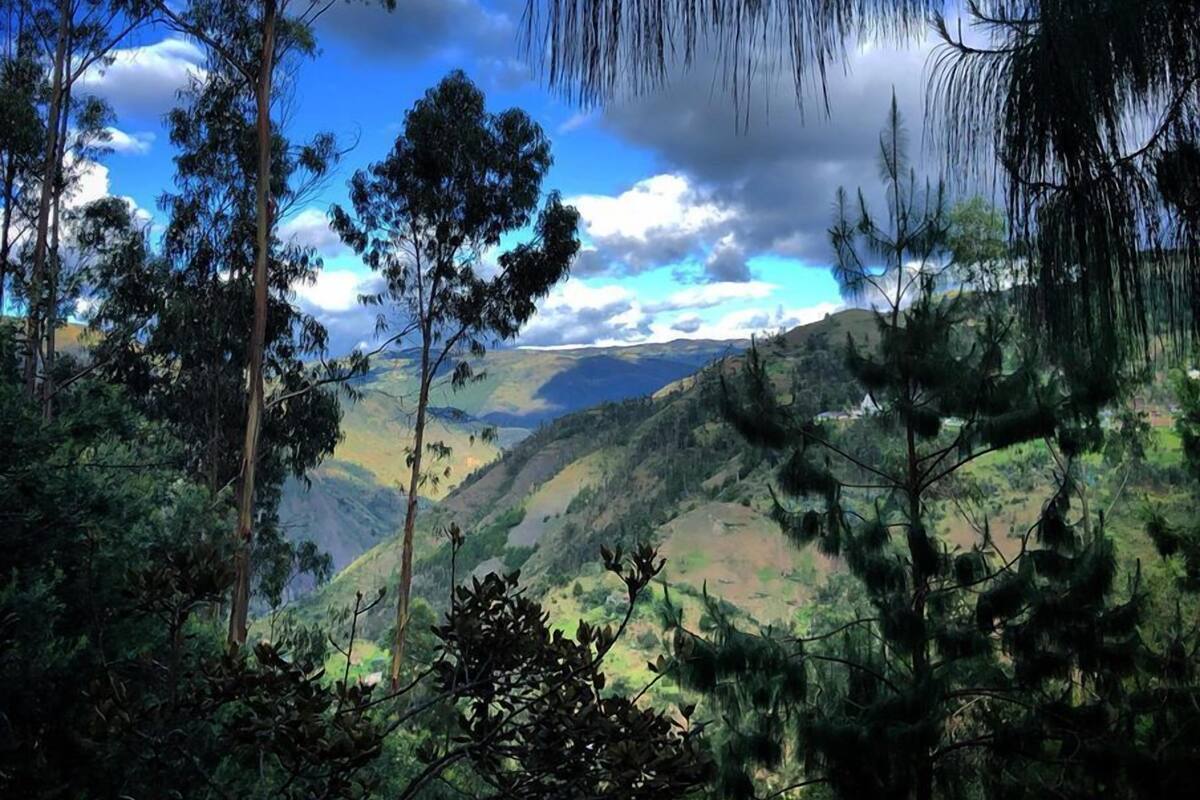 Vue sur les montagnes