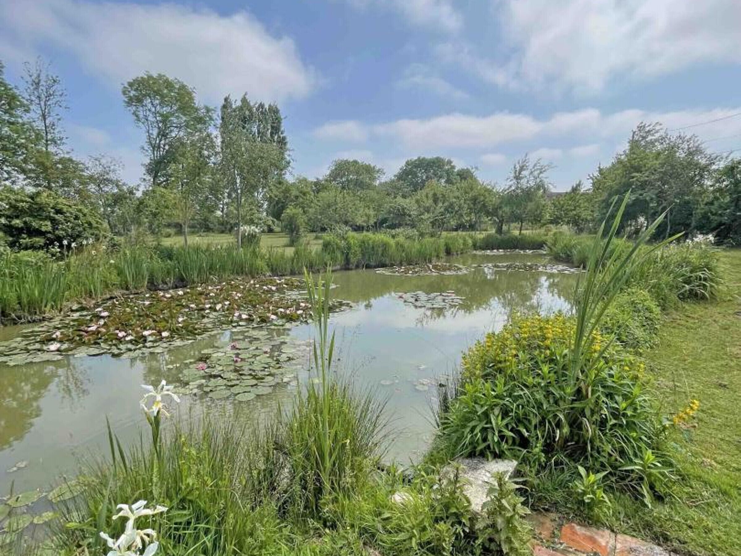 A serene pond surrounded by lush greenery and trees.