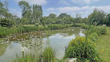A serene pond surrounded by lush greenery and trees.