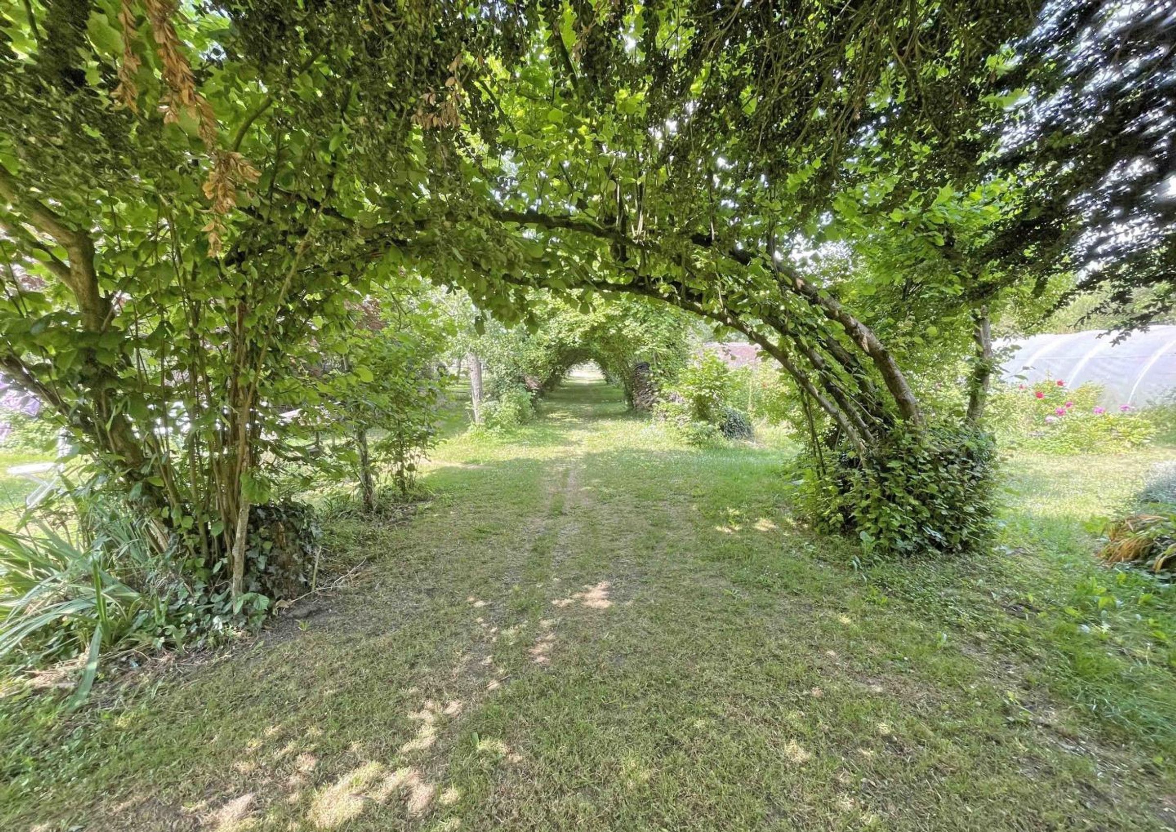 A pathway through a garden with trees and greenery.