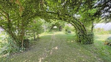 A pathway through a garden with trees and greenery.