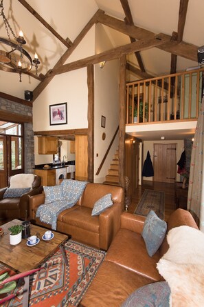 Smart-TV, peis, DVD-spiller og bøker