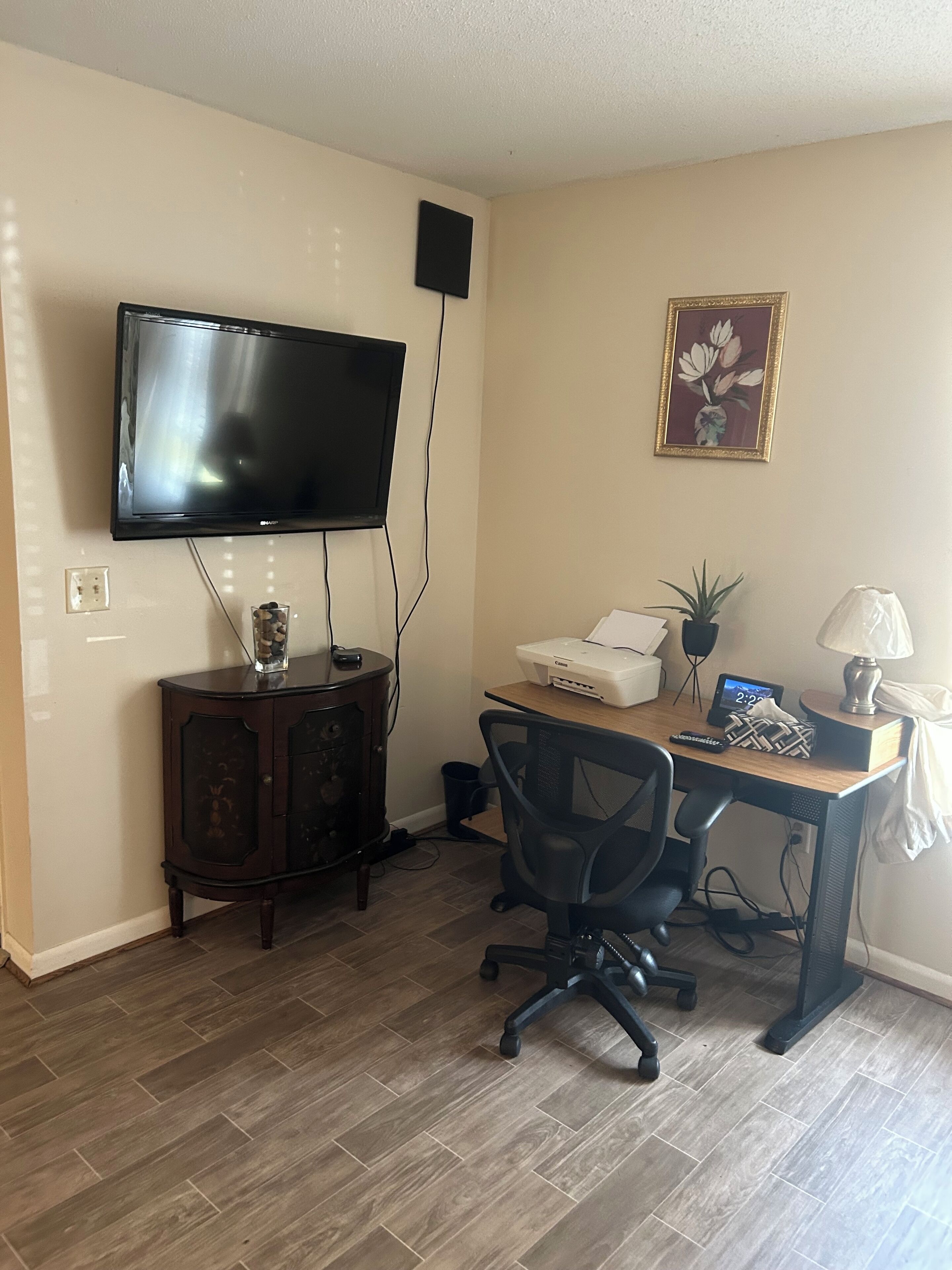 Een kamer met een wandgemonteerde flatscreen televisie, een houten bureau met een computer, een stoel en een kleine plant.