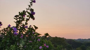 Piscina rodeada de exuberante follaje y flores moradas, con un banco y vistas del paisaje.