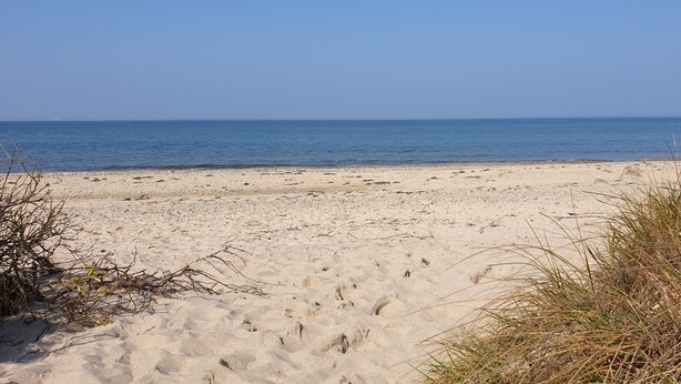 Ein Sandstrand mit klarem, blauem Wasser und vereinzelter Vegetation.