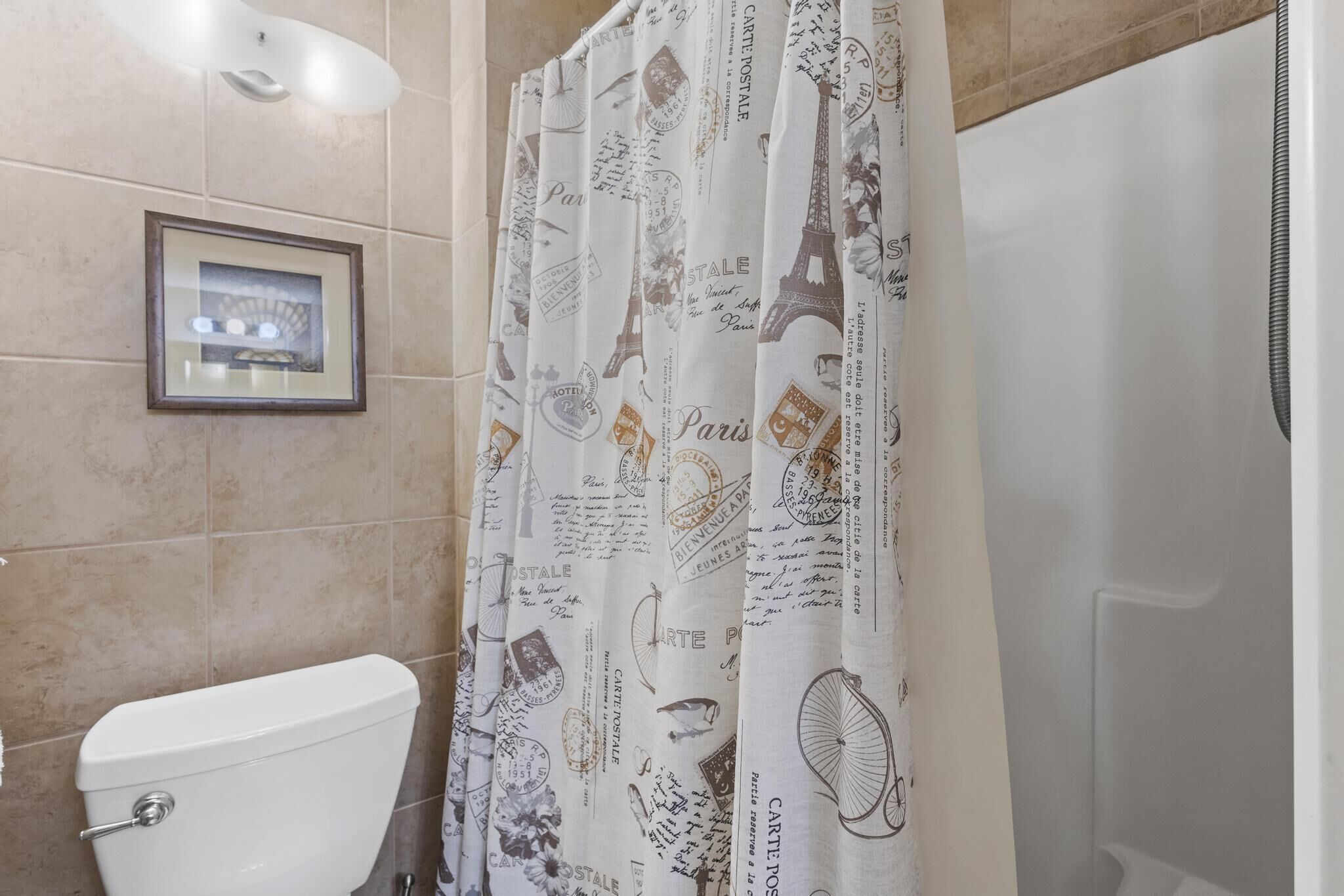 A bathroom with a toilet, a framed picture on the wall, and a shower curtain with Paris-themed designs.