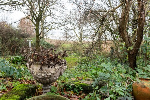 Meeuwen Manor - A treasure near Amsterdam