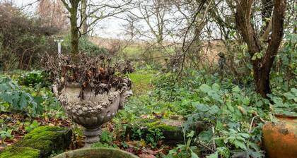Meeuwen Manor - A treasure near Amsterdam
