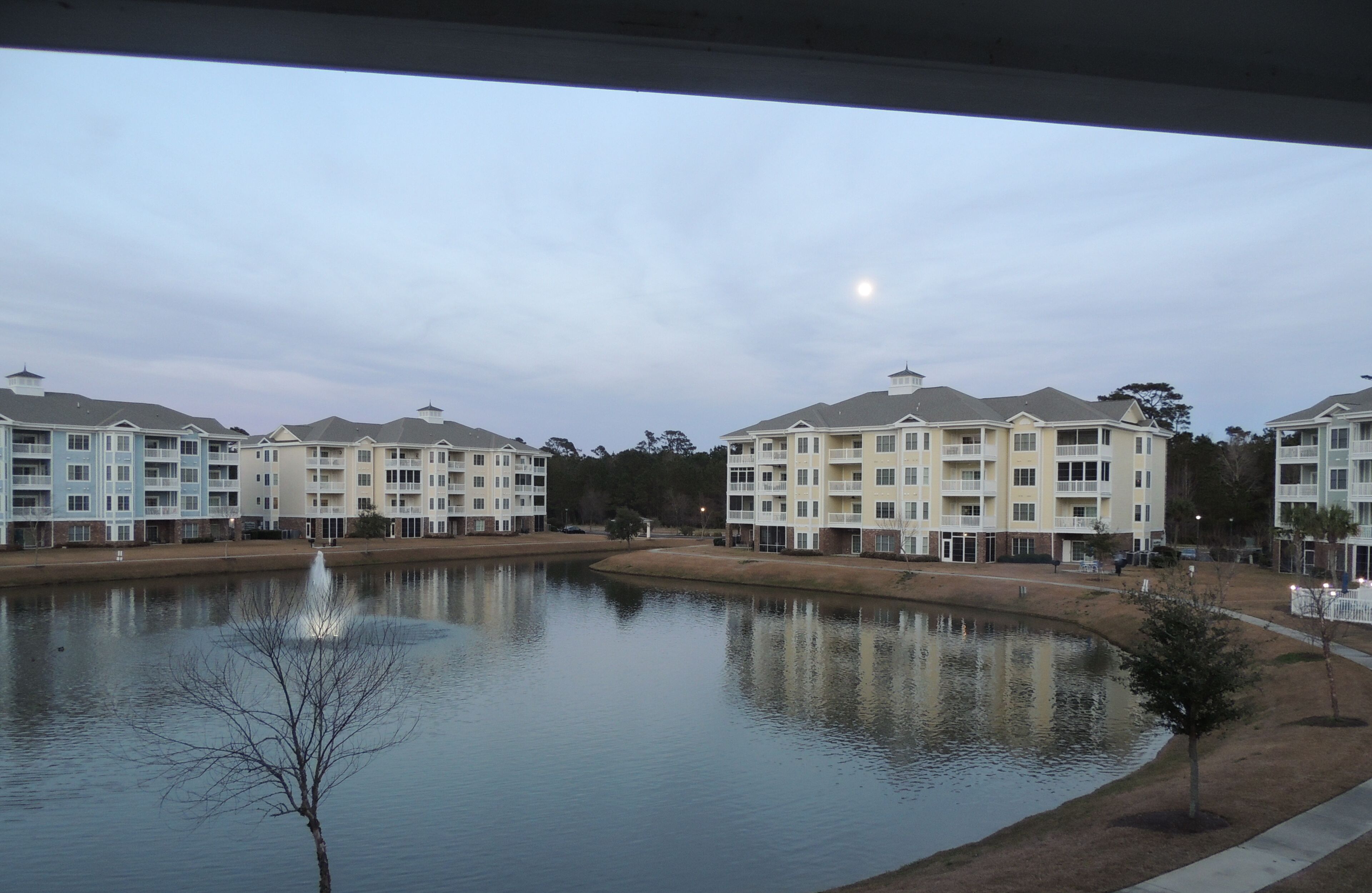 Zona residencial con edificios de varios pisos, una masa de agua y un árbol pequeño.