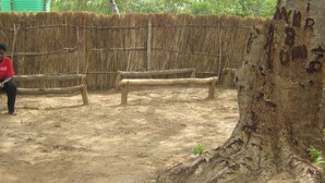 A dirt ground with a wooden bench and a tree trunk.