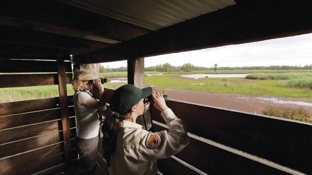 A covered observation area with wooden railings and a view of a wetland landscape.