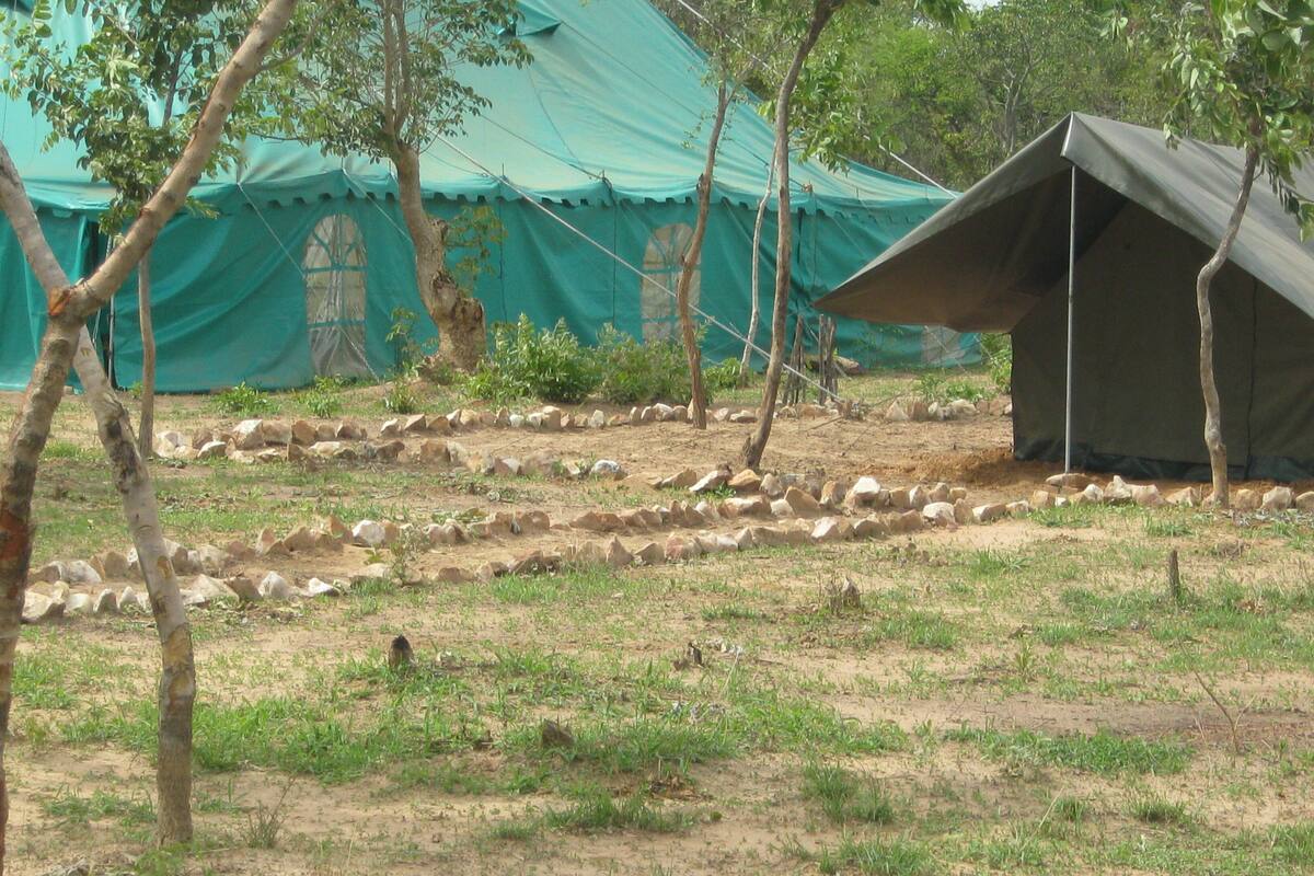 A campsite with tents and a green tarp structure.