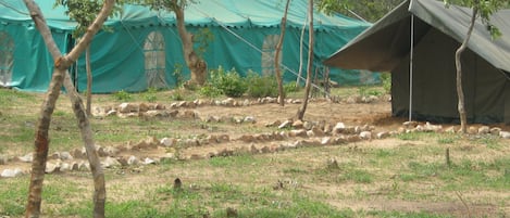 A campsite with tents and a green tarp structure.