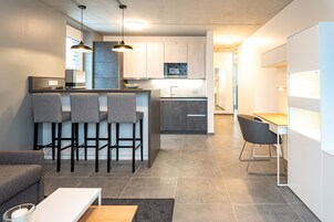 90-厘米纯平电视（配备卫星频道）、电视、加热地板