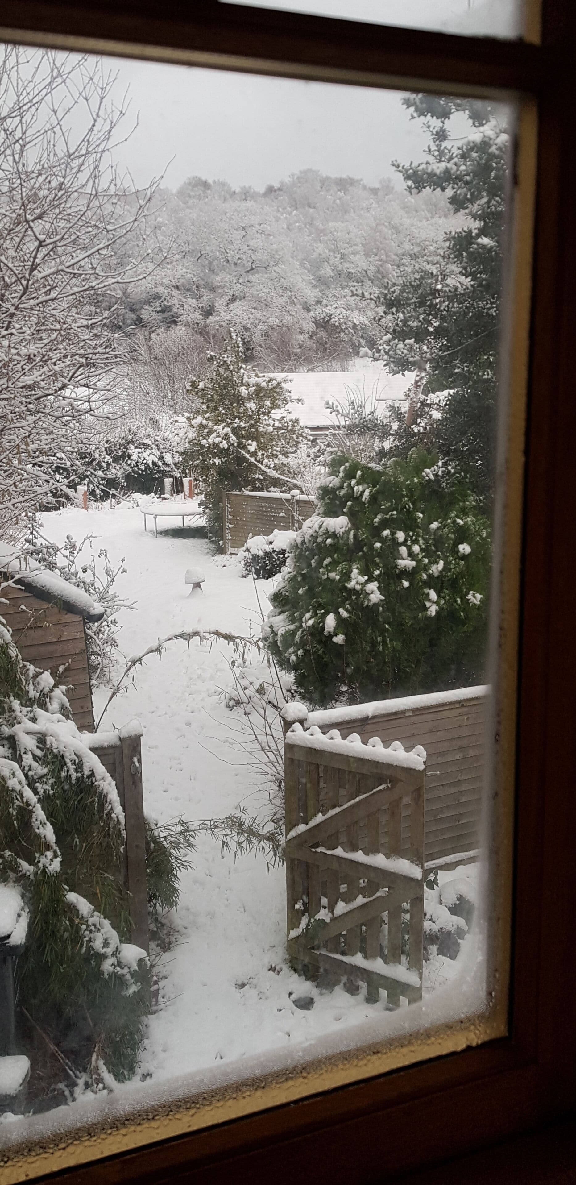 Winter view from bedroom
