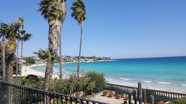 Vista costera con palmeras, una playa y cielo azul despejado.