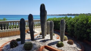 Un jardín con diversos cactus y suculentas, un sendero pavimentado y vista al mar.