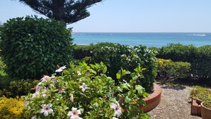 Un jardín con vista al océano, que presenta diversas plantas y un camino de ladrillo.