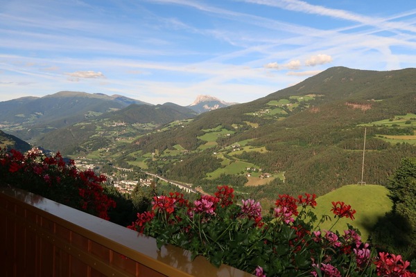 Fleur, Nuage, Ciel, Plante, Montagne, Propriété, Pente, Paysage Naturel, Arbre, Paysage
