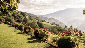 Una vista panorámica de un paisaje verde exuberante, con colinas ondulantes, cielo despejado y montañas distantes.