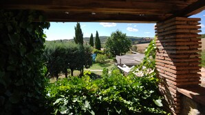 Une vue à travers une pergola en bois, avec un mur de briques en arrière-plan, donnant sur un vignoble et des collines ondoyantes.