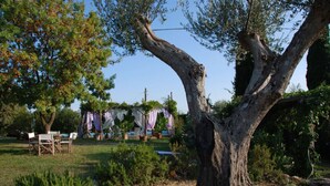 Un jardin avec un grand arbre, des sièges extérieurs et des plantes en pot.