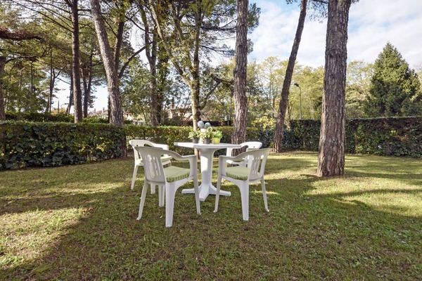 Pflanze, Tabelle, Eigentum, Möbel, Wolke, Stuhl, Baum, Natürliche Landschaft, Botanik, Ast