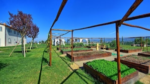 Un jardín con bancales elevados, una pérgola de madera y un árbol.