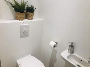 Ducha, secador de pelo, toallas y jabón
