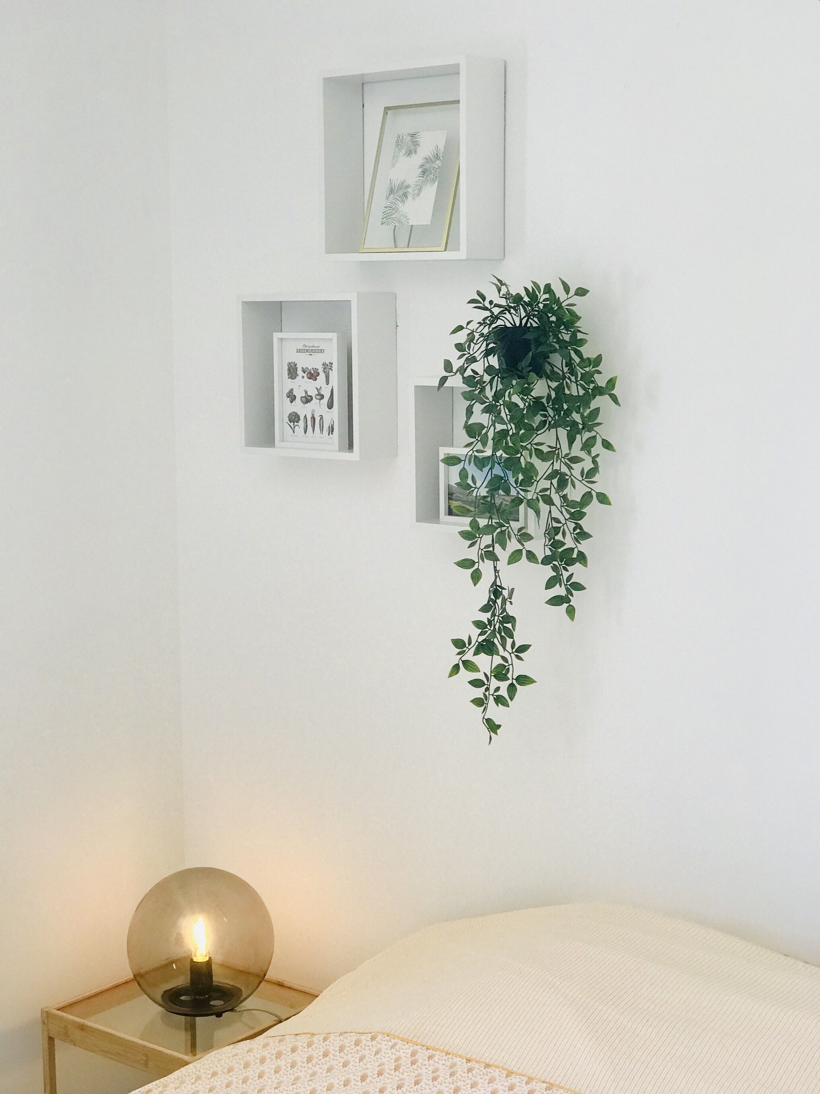 Quarto com cama, mesa de cabeceira com abajur, e prateleiras na parede com ilustrações botânicas emolduradas e planta pendente.