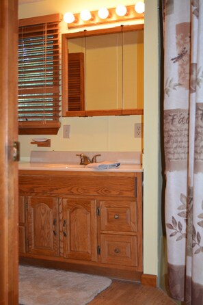 Combined shower/bathtub, hair dryer, towels, soap