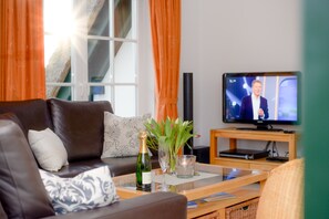 Télévision, cheminée, lecteur de DVD, livres