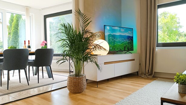 Moderni olohuone, jossa on televisio, ruokailutila tuoleineen, suuri huonekasvi ja näkymä vehreään maisemaan.
