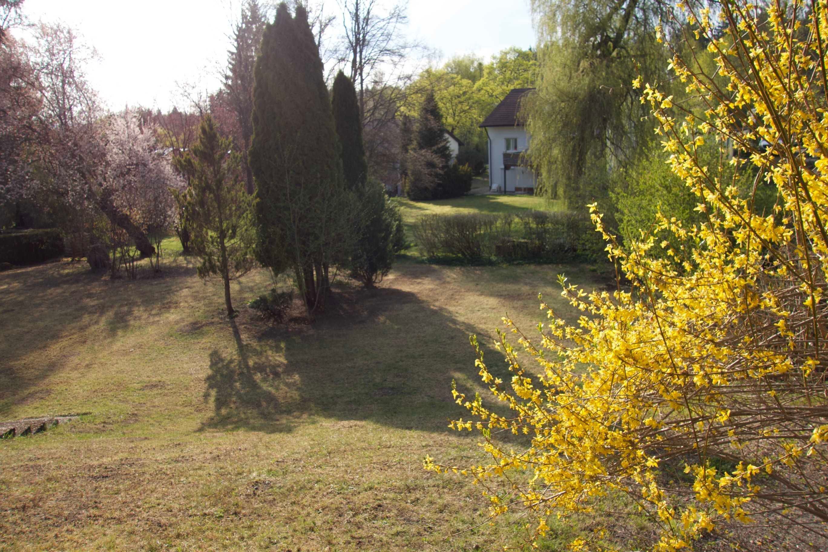 A residential area with a house, trees, and a lawn.
