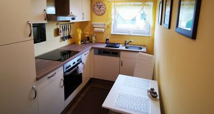 Bel appartement mamie de 2 piĂšces devant les portes de Nuremberg