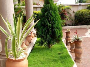 Enjoy a serene outdoor space surrounded by lush greenery and beautifully maintained gardens.