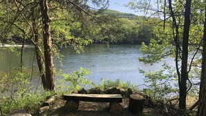 A wooden bench by a lake surrounded by trees. - Walk-In Condo With Pools in Pointe Royale - 2 Kings - Sleeps 6 (Branson)