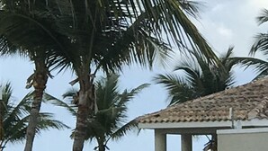 Blick auf die Küste mit Palmen, einem Gebäude mit Säulen und einem Gewässer im Hintergrund.