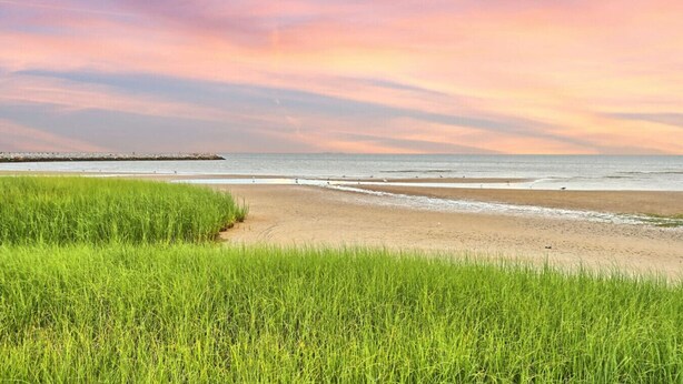 A beach with grassy dunes, a pier in the distance, and a calm sea. - Pet-Friendly | Steps to Beach & Old Town BSL! (Bay St. Louis)