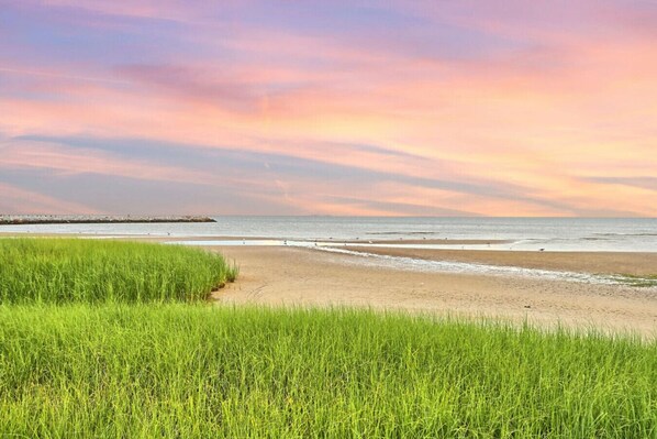 A beach with grassy dunes, a pier in the distance, and a calm sea.